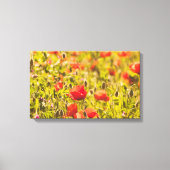 Veld papaver canvas afdruk (Voorkant)