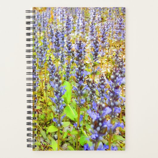  veld Purple Flowers Planner (Voorkant)