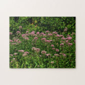 Veld Sweet Joe Pye Weed Flowers Orton Legpuzzel (Horizontaal)