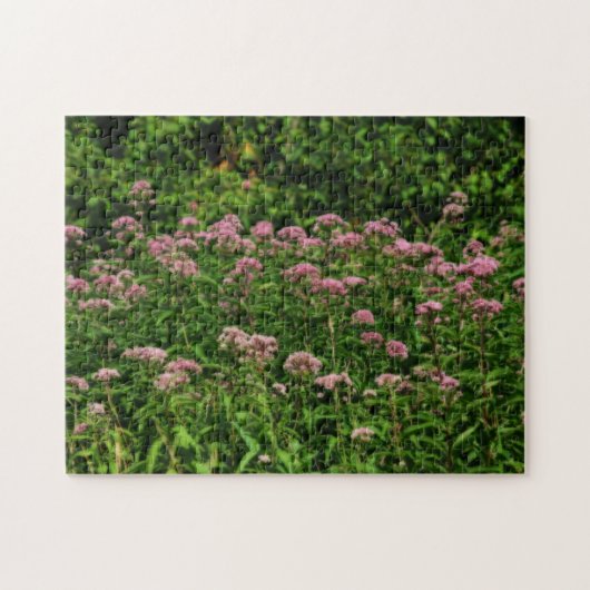 Veld Sweet Joe Pye Weed Flowers Orton Legpuzzel (Horizontaal)