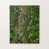 Veld Sweet Joe Pye Weed Flowers Orton Legpuzzel (Verticaal)