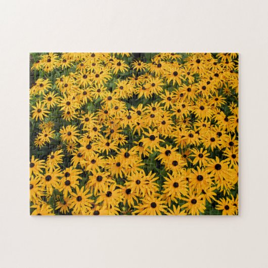 Veld van Daisies Puzzle Legpuzzel (Horizontaal)
