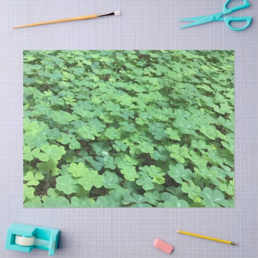 veld van klaverpapier tissuepapier (Craft)