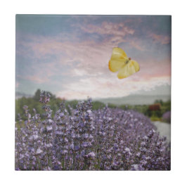 Veld van lavender Flowers, Blue Sky, Pink Sunset, Tegeltje