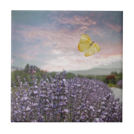 Veld van lavender Flowers, Blue Sky, Pink Sunset, Tegeltje (Voorkant)