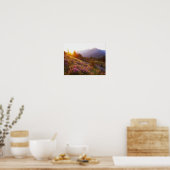 veld van lupine en Olympic Mountains bij Poster (Keuken)