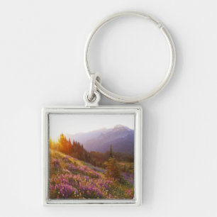 veld van lupine en Olympic Mountains bij Sleutelhanger
