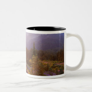 veld van lupine en Olympic Mountains bij Tweekleurige Koffiemok