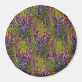 Veld van Lupines...... Magneet (Voorkant)
