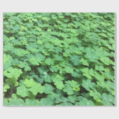 veld van omslagpapier voor klaver cadeaupapier (Vlak)