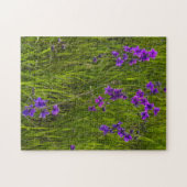 Veld van Paarse Larkspur Flowers Legpuzzel (Horizontaal)