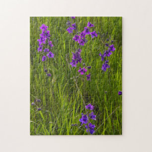 Veld van Paarse Larkspur Flowers Legpuzzel