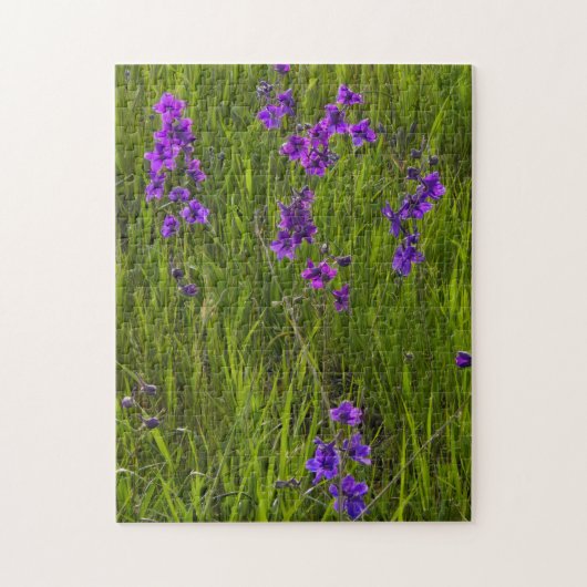 Veld van Paarse Larkspur Flowers Legpuzzel (Verticaal)
