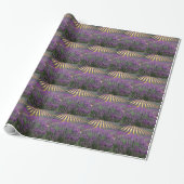 Veld van paarse lavendel cadeaupapier (Uitgerold)
