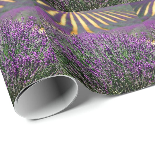Veld van paarse lavendel cadeaupapier (Rol Hoek)