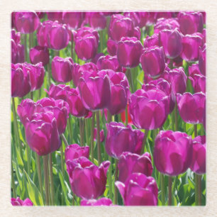 Veld van paarse tulpen glazen onderzetter