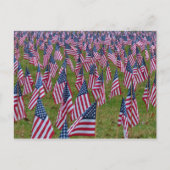 Veld van vlaggen - Memorial American Flags Briefkaart (Voorkant)