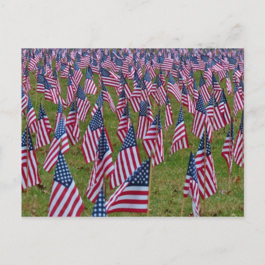 Veld van vlaggen - Memorial American Flags Briefkaart (Voorkant)