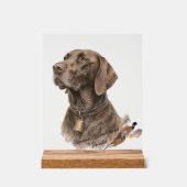 Veld & Veer - Duitse Staande Pointer met Acryl Bord (Voorkant)