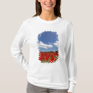 Veld vol rode bloemen t-shirt