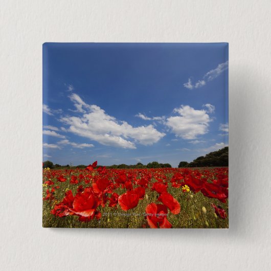 Veld vol rode bloemen vierkante button 5,1 cm (Voorkant)