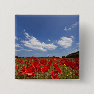 Veld vol rode bloemen vierkante button 5,1 cm