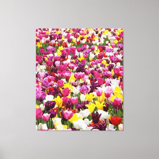 Veld vol tulpen canvas afdruk (Voorkant)