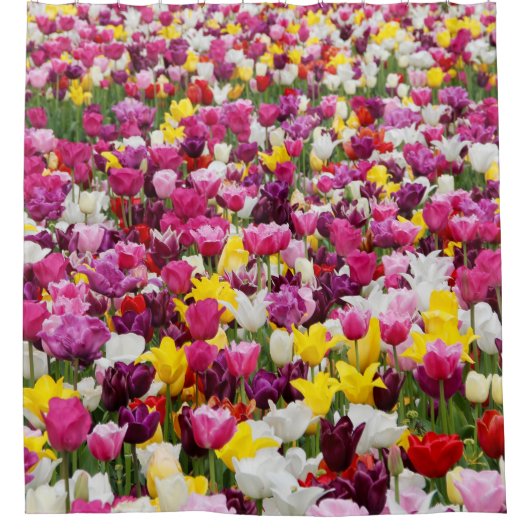 veld vol tulpen douchegordijn (Voorkant)