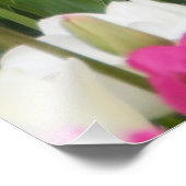 Veld vol tulpen foto afdruk (Hoek)