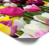 Veld vol tulpen perfect poster (Hoek)