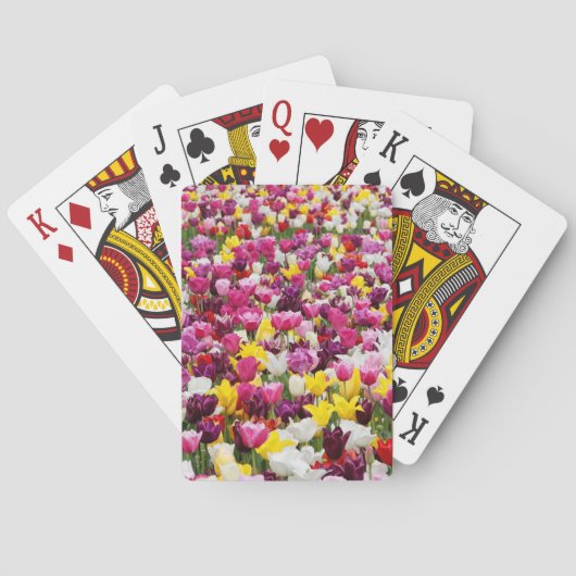 Veld vol tulpen pokerkaarten (Achterkant)