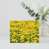Veldbeemdje met kleine gele wilde bloemen briefkaart (Staand voorkant)