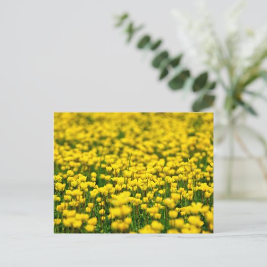 Veldbeemdje met kleine gele wilde bloemen briefkaart (Staand voorkant)