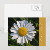 VELDBLOEMEN BRIEFKAART (Voorkant / Achterkant)