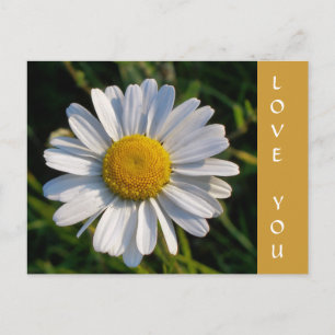 VELDBLOEMEN BRIEFKAART