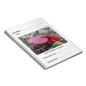 Veldboek van de naturalist van FungiOz Notitieboek (Rechterzijde)