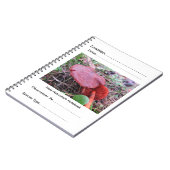 Veldboek van de naturalist van FungiOz Notitieboek (Linkerzijde)