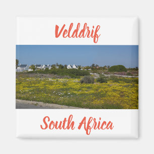 Velddrif West Coast Wild Flowers South Africa SA. Magneet