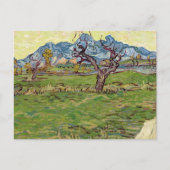 Velden bij de Alpilles Vincent van Gogh Briefkaart (Voorkant)