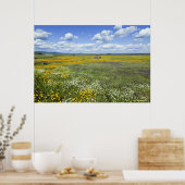 Velden in Springtime nabij Guadalupe Poster (Keuken)