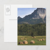 Velden met gehooid hooi, Alberta, Canada Briefkaart (Voorkant / Achterkant)