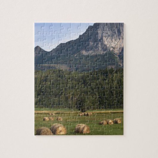 Velden met gehooid hooi, Alberta, Canada Legpuzzel (Verticaal)