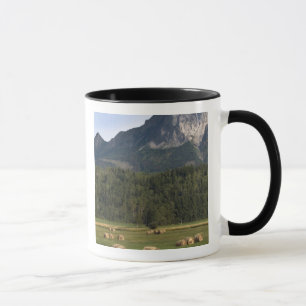 Velden met gehooid hooi, Alberta, Canada Mok