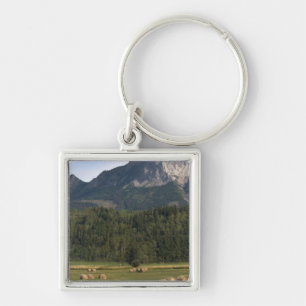 Velden met gehooid hooi, Alberta, Canada Sleutelhanger