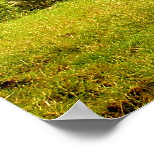 Velden - Poster (Hoek)