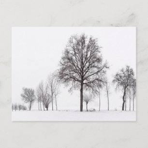 Velden rond Scalenghe Piëmont, Italië Briefkaart