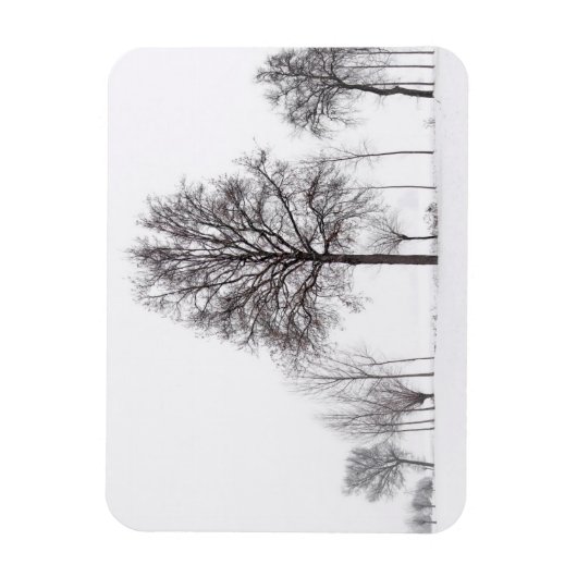 Velden rond Scalenghe | Piemonte, Italië Magneet