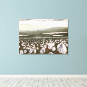 Velden van Arctic Cotton: Canvas Afdrukken Uncropp (Insitu (Houten vloer))