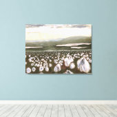 Velden van Arctic Cotton: Canvas Standaard Afdruk (Insitu (Houten vloer))