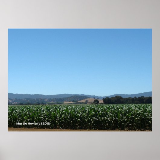 Velden van Corn Poster (Voorkant)